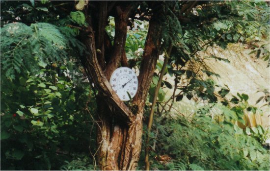 Funny place for a clock