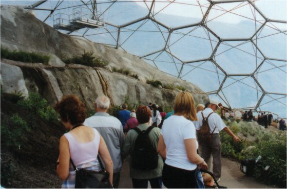 Inside the biodome